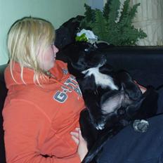 Blanding af racer Nero