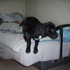 Blanding af racer blackie<3