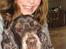 Cocker spaniel Coco - Coco og Mig 