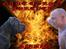Cane corso  - DIABLO - R.I.P - From hell..............
