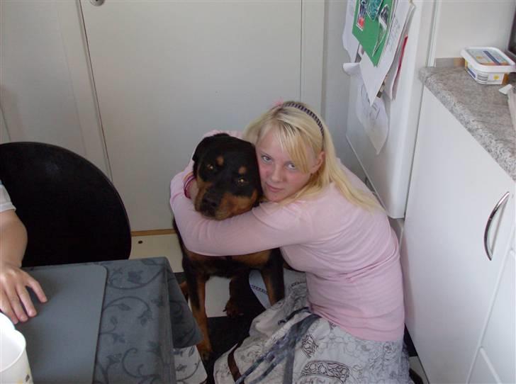Rottweiler senna(aflivet d 12/1-09) billede 3