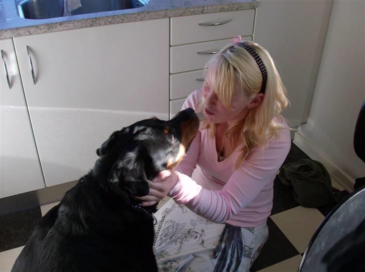 Rottweiler senna(aflivet d 12/1-09) billede 5