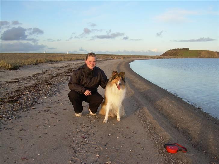 Collie langhåret Walther - Nyt, Walther og mor.. :0) billede 7