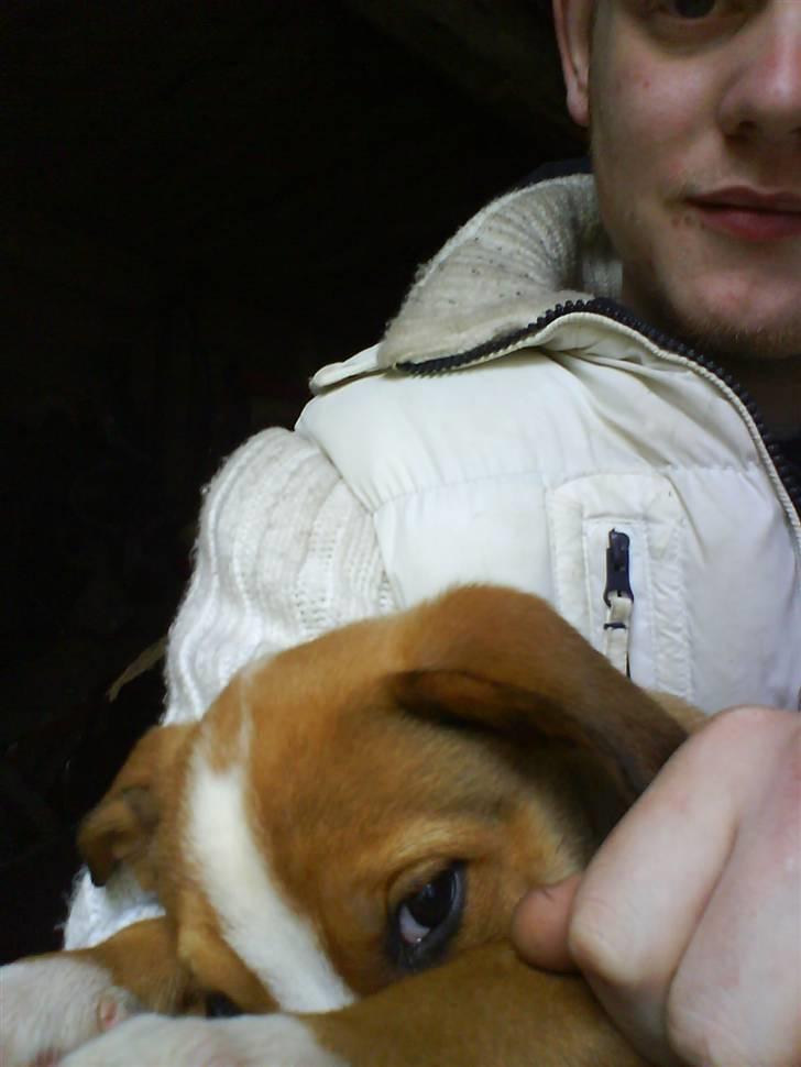 Blanding af racer trunte væk;'( billede 8