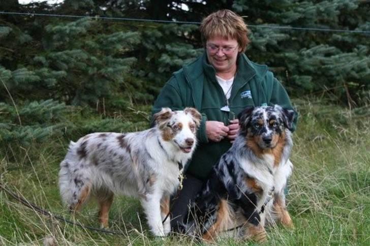 Australian shepherd PaintedMagic Captain Hook - Vilya, Holger og jeg på vores mark billede 12