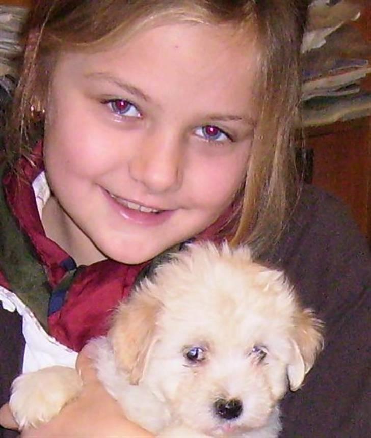 Bichon havanais Nephew - Mig og Nephew (:<3 billede 5