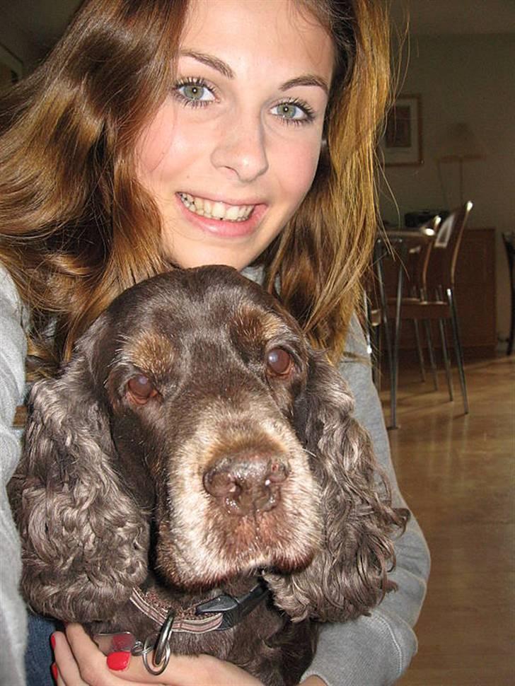 Cocker spaniel Coco - Coco og Mig  billede 6