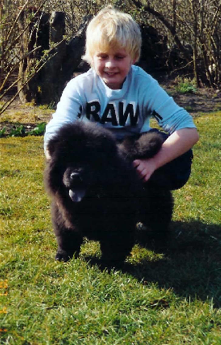 Chow chow Oscar - Baby Oscar sammen med min lillebror billede 19
