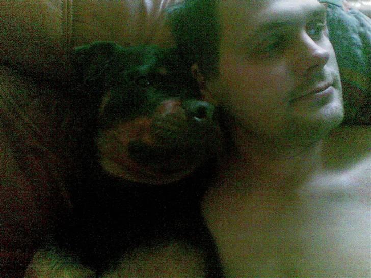 Rottweiler Cleo - elsker og putte med dig far billede 20