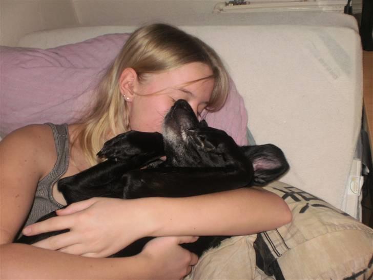 Blanding af racer Bella - Hvorfor få børn når man har dyr;) billede 8