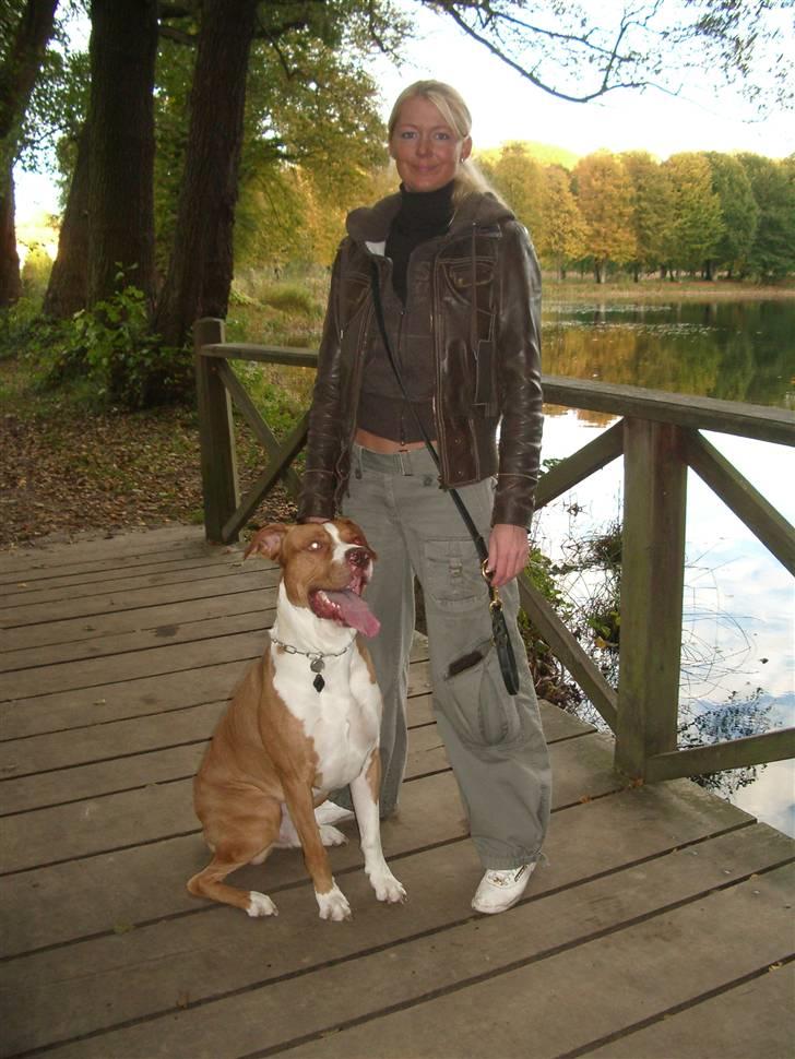 Blanding af racer Tyson - På tur... billede 9