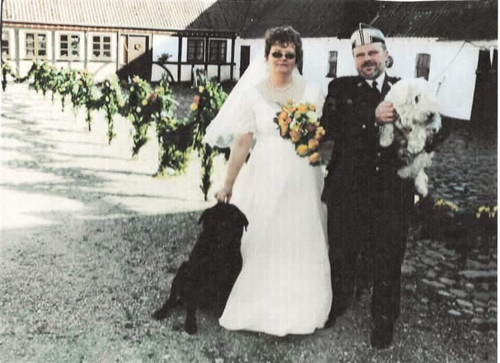 Sealyham terrier Lasse  - Jeg og min storebror Bonzo, var også med til mor og fars bryllup billede 8