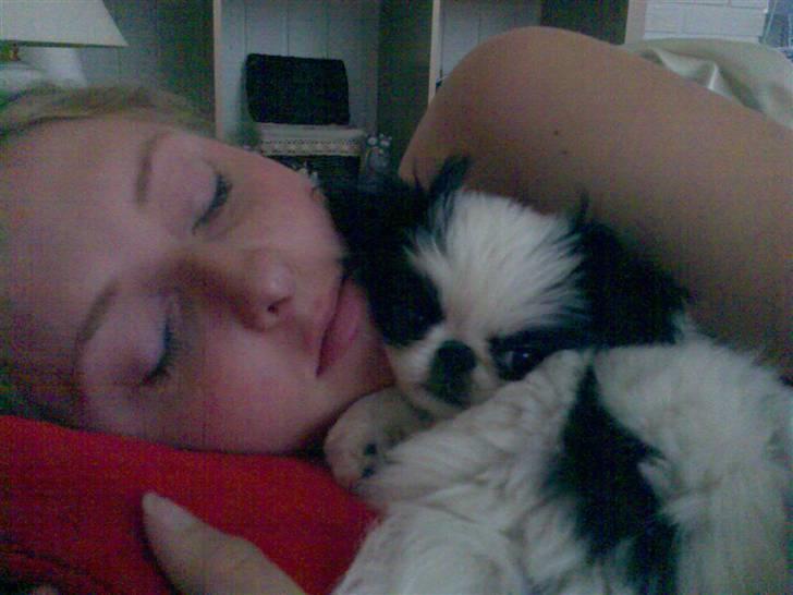 Japanese Spike - putter med mor.. er lidt af en hængerøv hehe billede 15