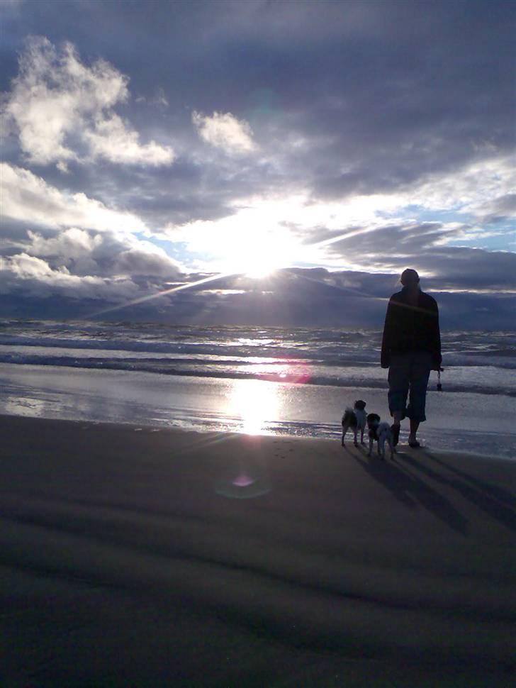 Japanese Spike - Solnedgang i Blokhus 2007.. Nat Nat billede 17