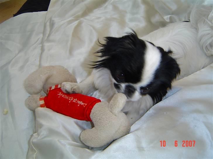 Japanese Tøsen - hvis i er i tvivl står der "Jeg elsker dig så meget" og det passer billede 14