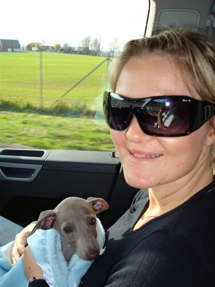 Italiensk mynde Fergie - I bilen hjem fra Oslo billede 2