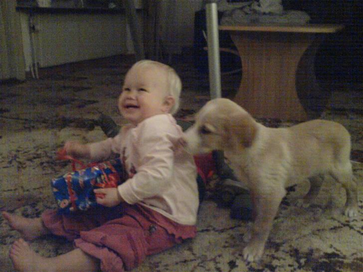 Blanding af racer bølle - er den pakke mon til mig :-) `datteren og bølle` billede 10