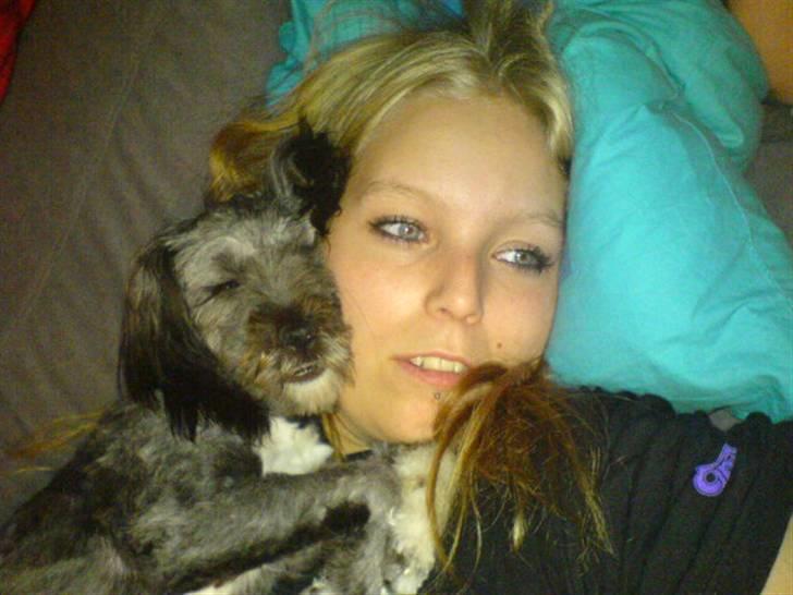 Blanding af racer LhasaPoo -  Frk. Poco billede 14