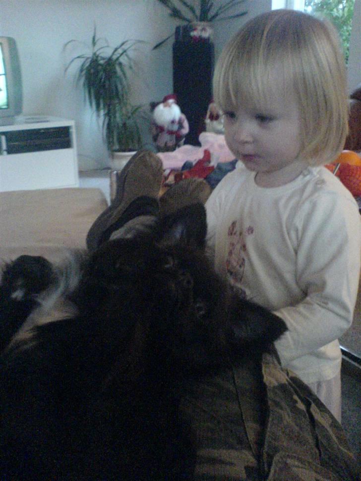 Blanding af racer Marlin - det her er min lille veninde, hun passer altid godt på mig... billede 11