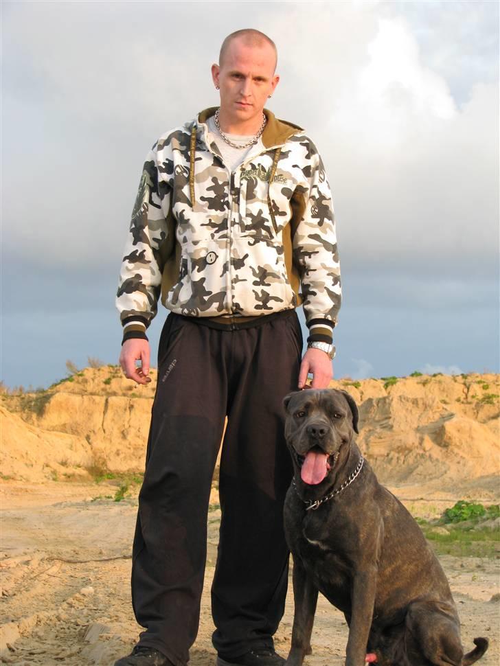 Cane corso  - DIABLO - R.I.P - Mig og far........... billede 9