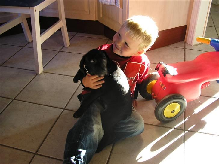 Blanding af racer blackie<3 billede 10