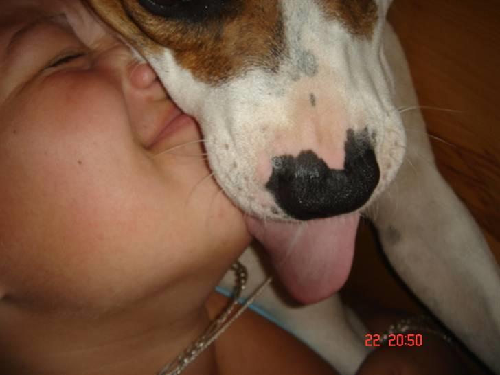 Blanding af racer Freja - kysser lidt med min moar billede 16