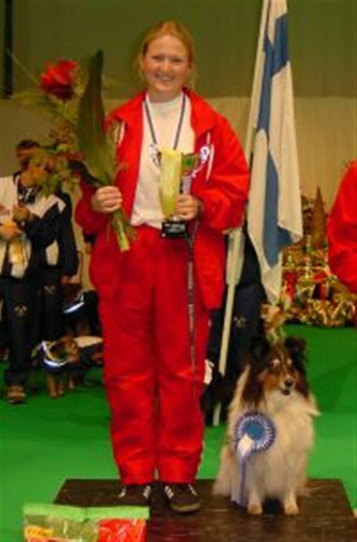 Shetland sheepdog Zita - R.I.P - Zita som broncevinder ved Nordisk Mesterskab i agility år 2000 billede 3