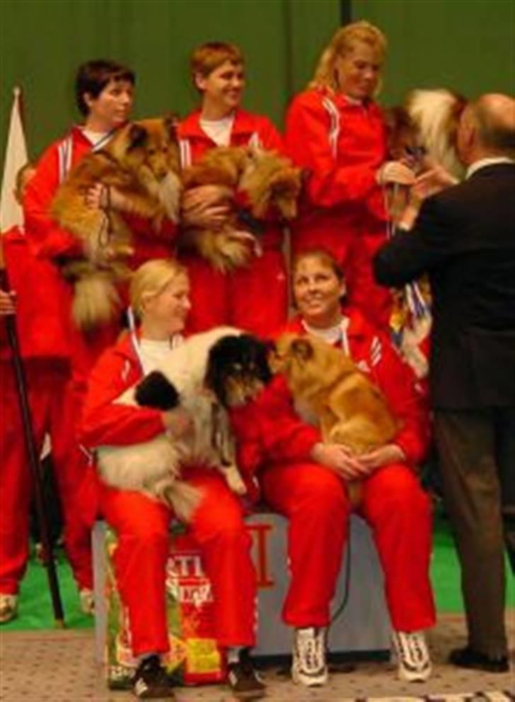 Shetland sheepdog Zita - R.I.P - Zita med agility landsholdet på skamlen som sølvvinder ved NM år 2000 billede 5
