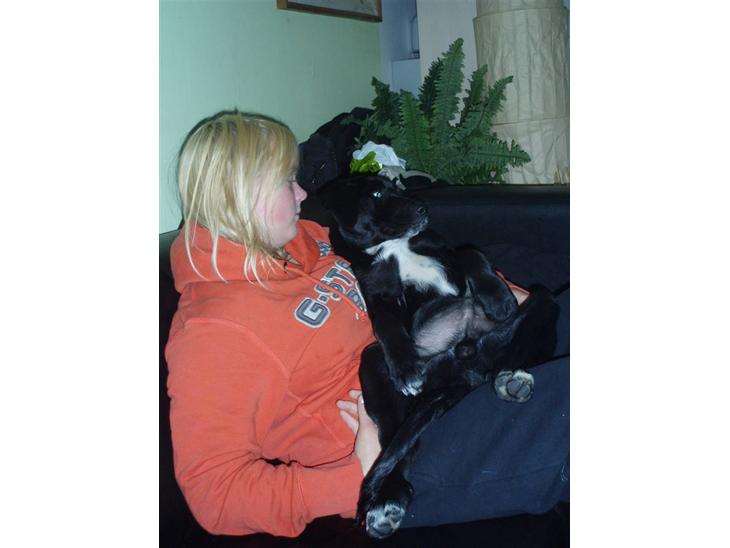 {{currentPhoto.altText}} billede {{currentPhoto.number}}