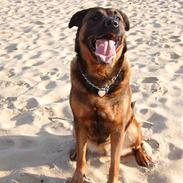 Blanding af racer Tenna