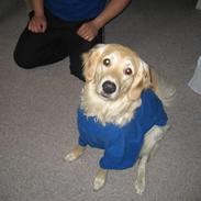 Blanding af racer sofus