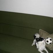 Blanding af racer Egon