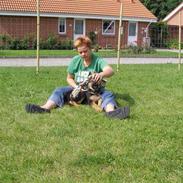 Schæferhund zargo (død) ny hund Xanto