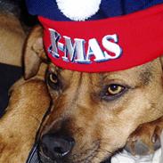 Blanding af racer Tyson