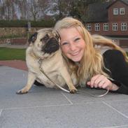 Mops ALILAMA (Molly)