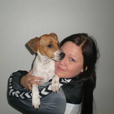 Dansk svensk gaardhund Tyson Solgt