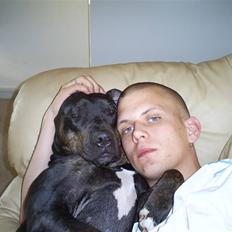 Blanding af racer Bella R.I.P.