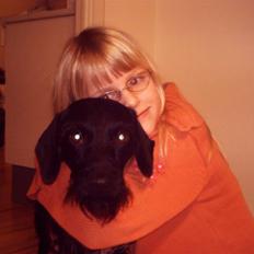 Blanding af racer Rottehund Max