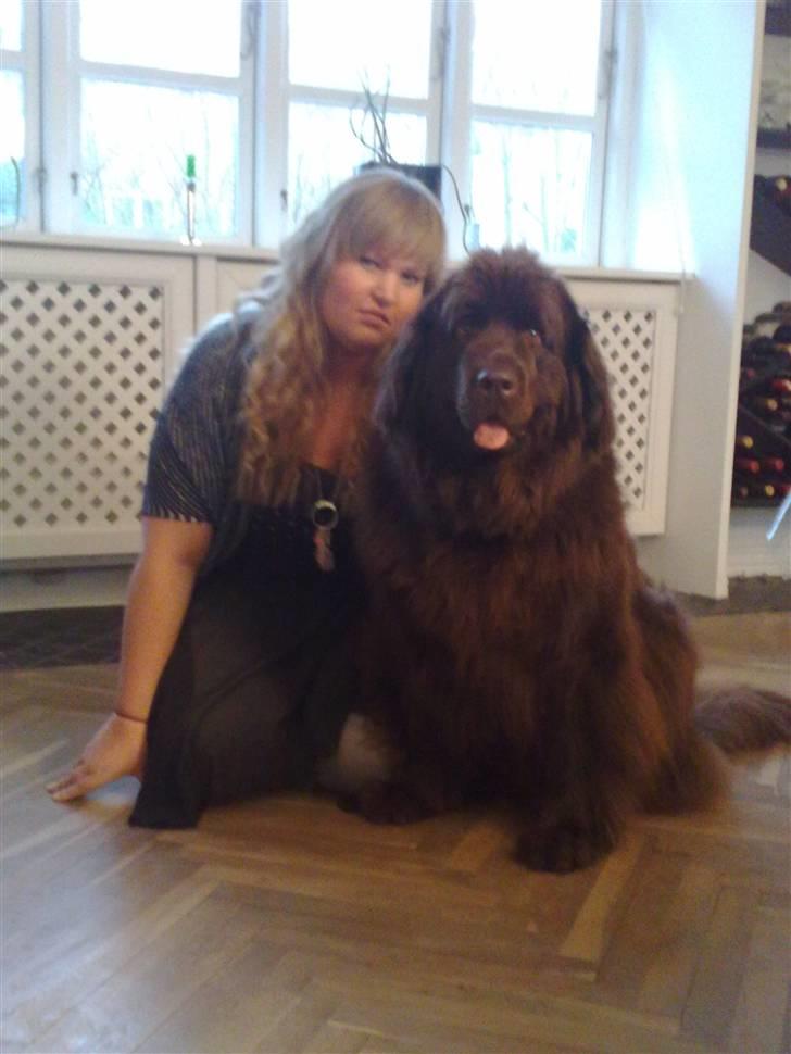Newfoundlænder *Beauty* (Newetta's) R.I.P - 16/11-2012 billede 15