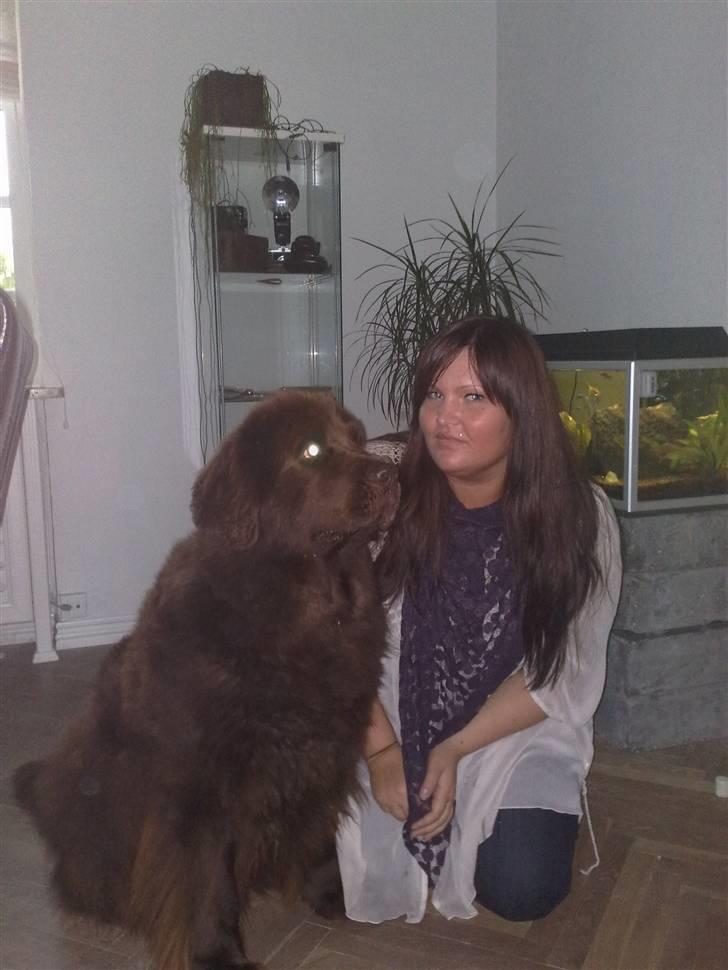 Newfoundlænder *Beauty* (Newetta's) R.I.P - 16/11-2012 billede 19