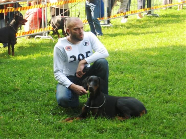 Dobermann Black BallerinaBelladonna - Ventetid ved IDC 2007 (VM) i Desio, Milano. Far stener...  billede 20