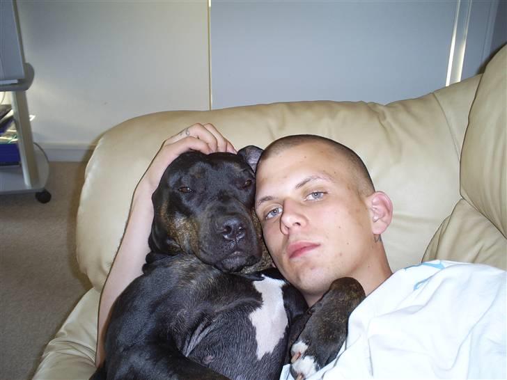 Blanding af racer Bella R.I.P. - sådan så man oftest bella, sammen med sin far billede 2