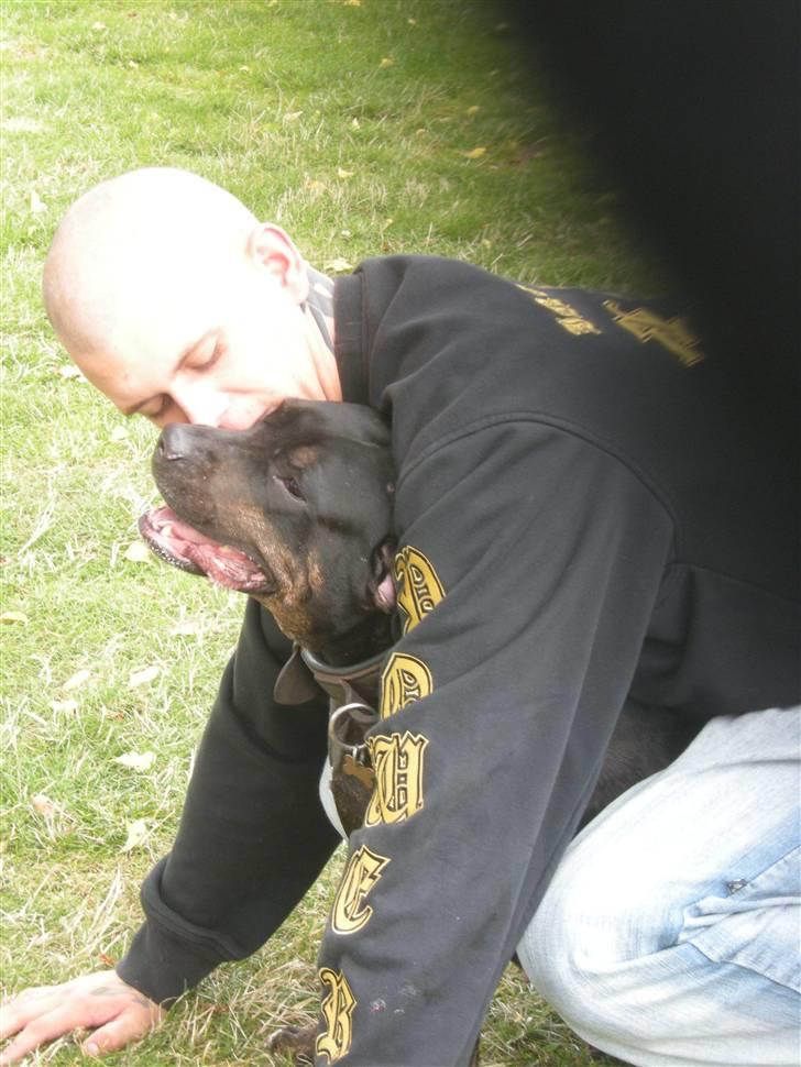 Blanding af racer Bella R.I.P. - sammen med far billede 7