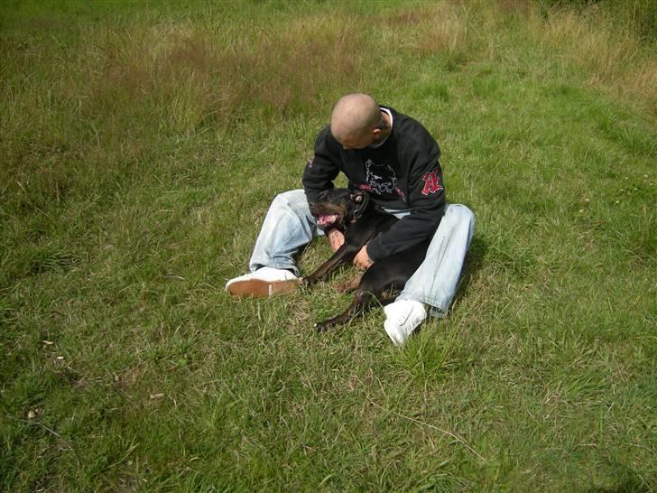 Blanding af racer Bella R.I.P. - sammen med far billede 12