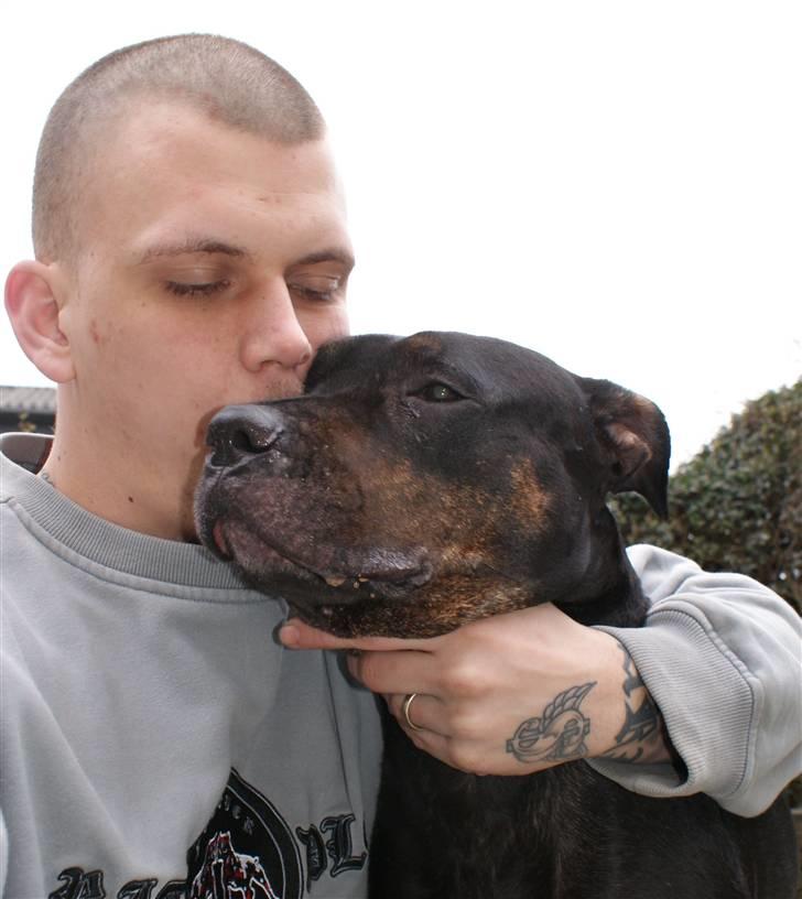 Blanding af racer Bella R.I.P. - sammen med far igen billede 20