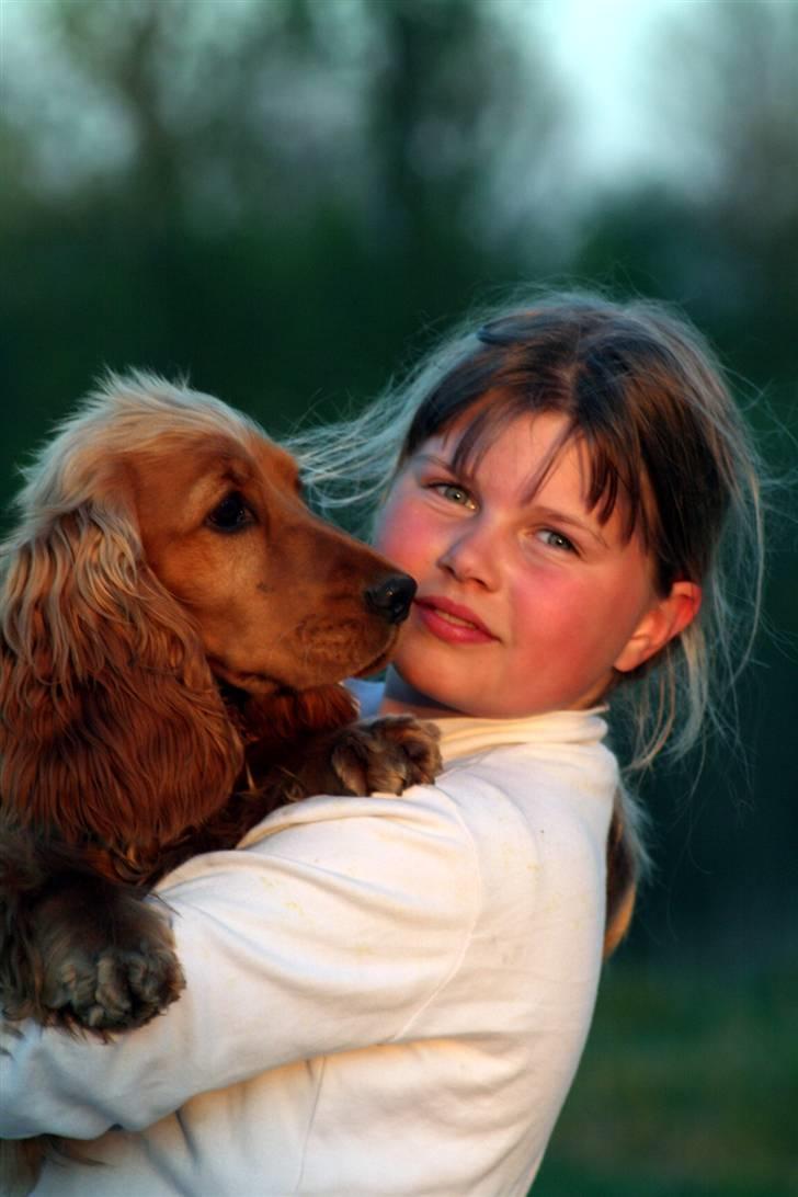 Cocker spaniel Frida - Dette taler også for sig selv. billede 20