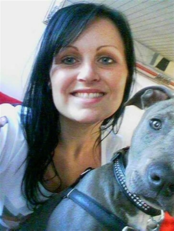 Amerikansk staffordshire terrier Alou billede 11