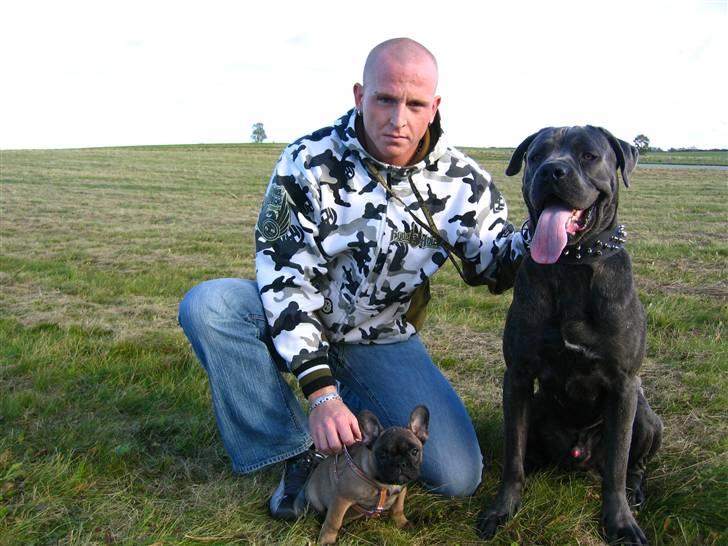 Cane corso  - DIABLO - R.I.P - Godt billede efter et par gode timer med far og lillebror... billede 19