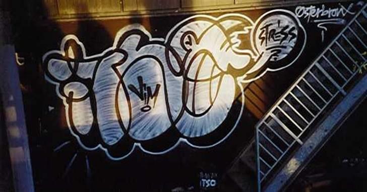 Staffordshire bull terrier     ITSO  24. okt - opkaldt efter graffiti maler... billede 12