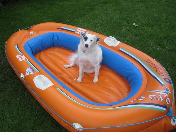 Blanding af racer Sölja - På sejltur billede 3